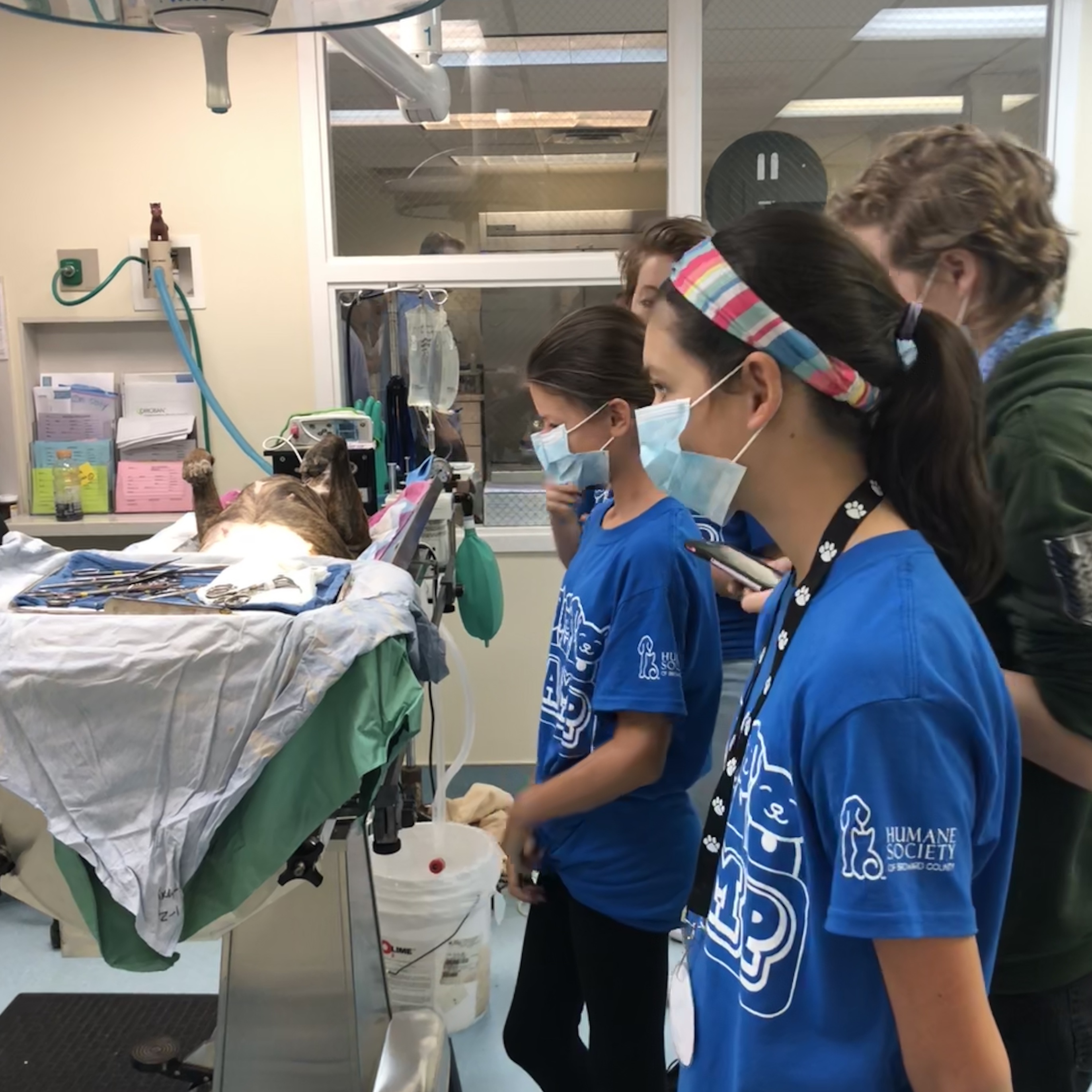 Summer Camp Ages 13 - 17 - logo